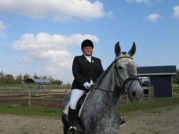 2011 Sommerturnering